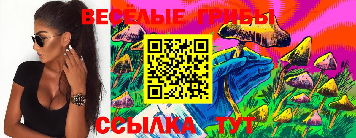 Псилоцибиновые грибы Psilocybe  Вход с VPN  Псилоцибиновые грибы MAGIC MUSHROOMS  Уварово 